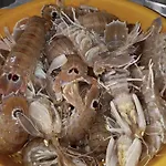 Gæstehus Da Mariolino 4*